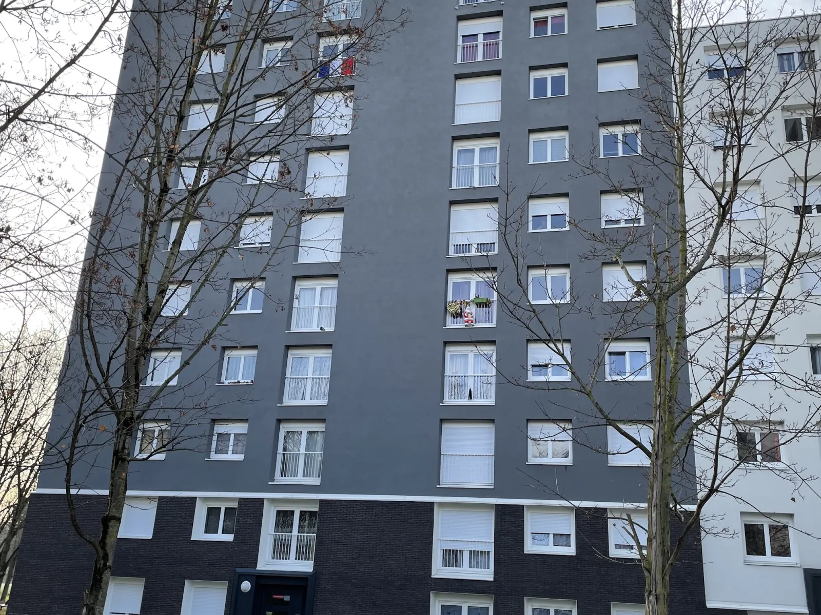 PLURIAL NOVILIA - CROIX DU SUD - photo 1